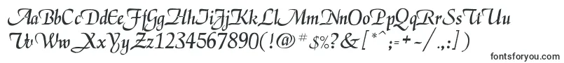 Шрифт Legarnerd – шрифты для Adobe Muse