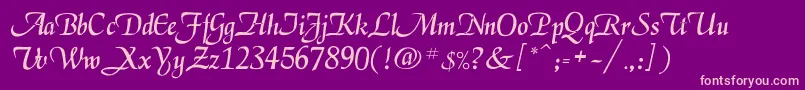 Legarnerd Font – Pink Fonts on Purple Background