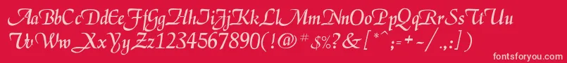 Legarnerd Font – Pink Fonts on Red Background