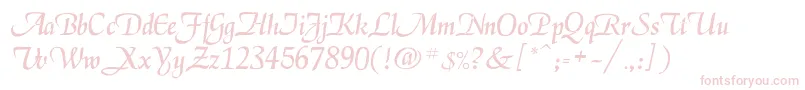 Legarnerd-Schriftart – Rosa Schriften