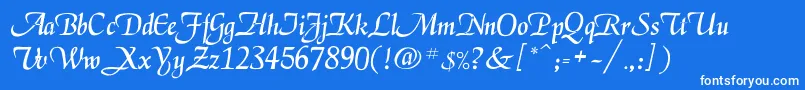 Legarnerd Font – White Fonts on Blue Background