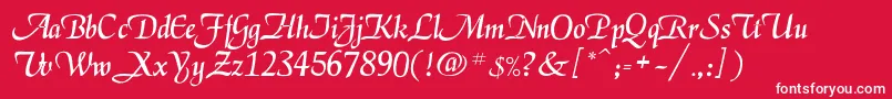 Legarnerd Font – White Fonts on Red Background