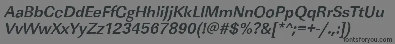 フォントLinearstdBolditalic – 黒い文字の灰色の背景
