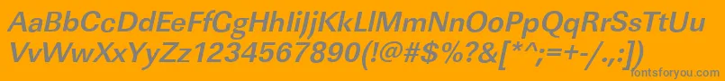 LinearstdBolditalic Font – Gray Fonts on Orange Background