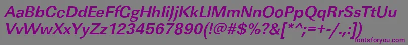 LinearstdBolditalic Font – Purple Fonts on Gray Background