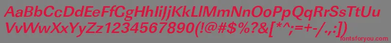 LinearstdBolditalic Font – Red Fonts on Gray Background