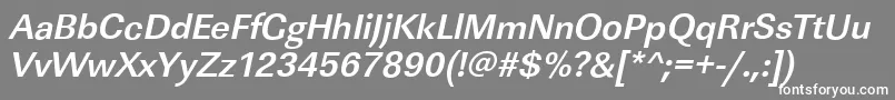 LinearstdBolditalic Font – White Fonts on Gray Background