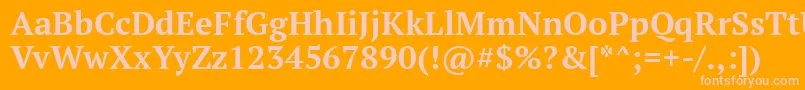 PtSerifBold-Schriftart – Rosa Schriften auf orangefarbenem Hintergrund