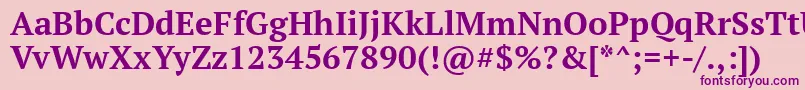PtSerifBold Font – Purple Fonts on Pink Background