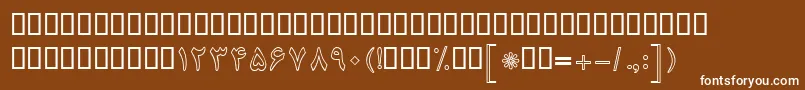 Шрифт BNazaninOutline – белые шрифты на коричневом фоне