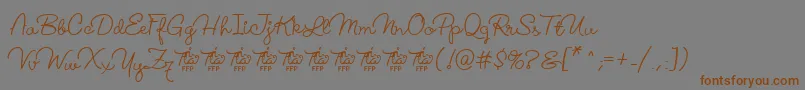 LucemitaFontFfp-fontti – ruskeat fontit harmaalla taustalla
