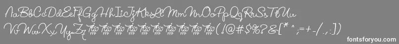 LucemitaFontFfp Font – White Fonts on Gray Background