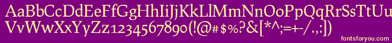 ProcionoRegular Font – Yellow Fonts on Purple Background