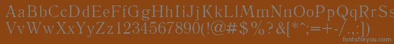 Шрифт Literaturnaya – серые шрифты на коричневом фоне