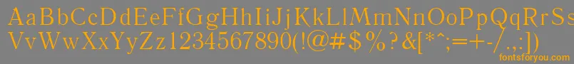 フォントLiteraturnaya – オレンジの文字は灰色の背景にあります。