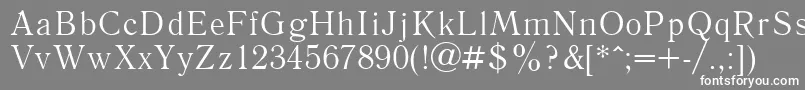 Literaturnaya Font – White Fonts on Gray Background