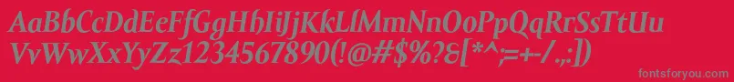 AmorSerifTextProBoldItalic Font – Gray Fonts on Red Background