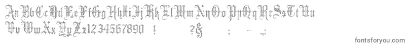 Police Minster5 – polices grises