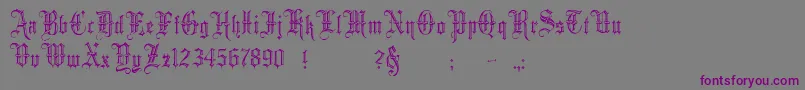 Weitere Informationen zur Minster5-Schriftart Minster5-Schriftart – Violette Schriften auf grauem Hintergrund