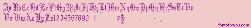 Minster5-Schriftart – Violette Schriften auf rosa Hintergrund