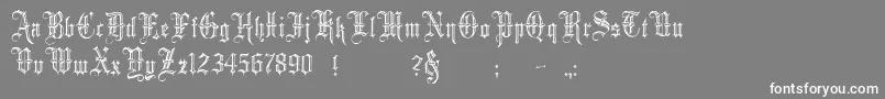 フォントMinster5 – 灰色の背景に白い文字