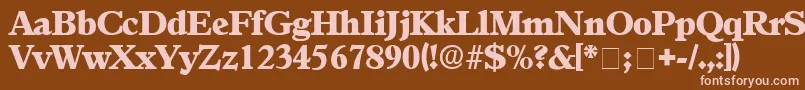 AgonicDisplaySsi Font – Pink Fonts on Brown Background