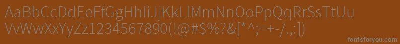 SourcesansproLight Font – Gray Fonts on Brown Background