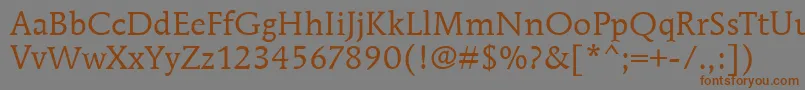 MendozaRomanItcBook Font – Brown Fonts on Gray Background