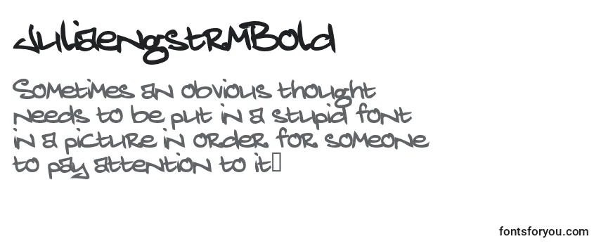 Review of the JuliaengstrmBold Font