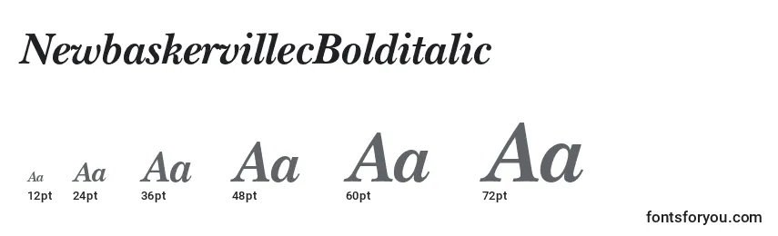 NewbaskervillecBolditalic Font Sizes