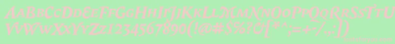 BiblonScOtBoldItalic Font – Pink Fonts on Green Background