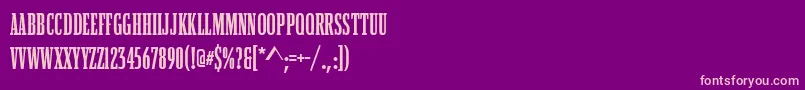BostonCompressedBold Font – Pink Fonts on Purple Background