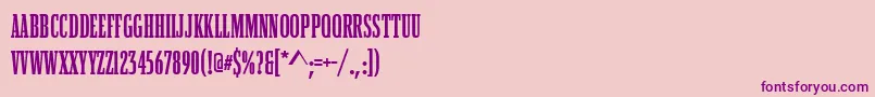 BostonCompressedBold Font – Purple Fonts on Pink Background