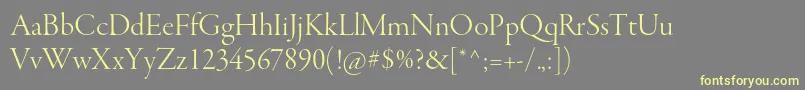 GaramondpremrproLtdisp Font – Yellow Fonts on Gray Background