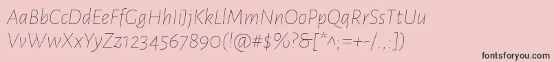 Police AlegreyasansThinitalic – polices noires sur fond rose