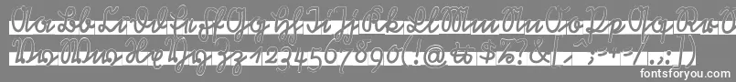 RastenburgBandU1sy Font – White Fonts on Gray Background