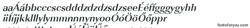 Шрифт ImperialstdBolditalic – венгерские шрифты