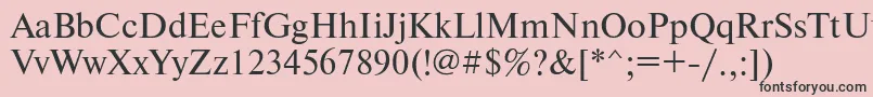 Newtonmacctt Font – Black Fonts on Pink Background