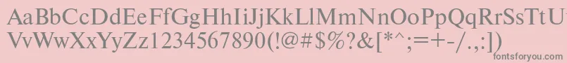 Newtonmacctt Font – Gray Fonts on Pink Background