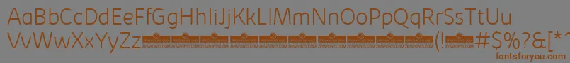 KabrioSoftExtralightTrial Font – Brown Fonts on Gray Background