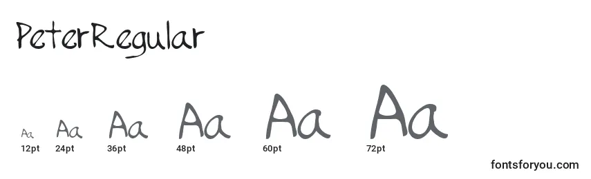 PeterRegular Font Sizes