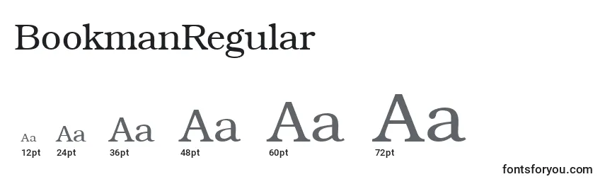 Размеры шрифта BookmanRegular