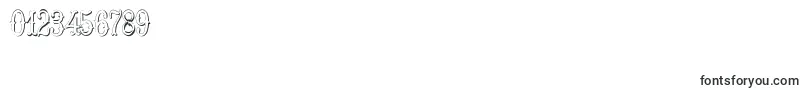 HoedownShadow Font – Fonts for Numbers and Digits