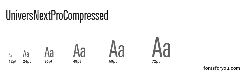 UniversNextProCompressed Font Sizes