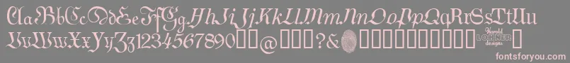 GermanSampler Font – Pink Fonts on Gray Background