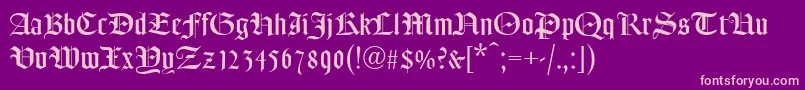 Fredt Font – Pink Fonts on Purple Background