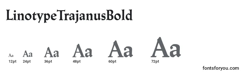 Размеры шрифта LinotypeTrajanusBold