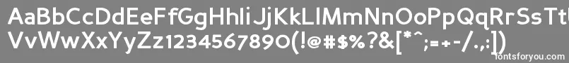 Persansb Font – White Fonts on Gray Background