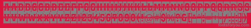 AAssuantitulcm1st Font – Gray Fonts on Red Background