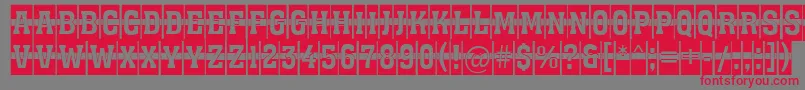 AAssuantitulcm1st Font – Red Fonts on Gray Background